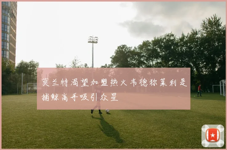莫兰特渴望加盟热火韦德称莱利是捕鲸高手吸引众星