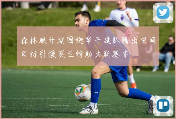 森林狼计划围绕华子建队腾出空间目标引援莫兰特助力新赛季