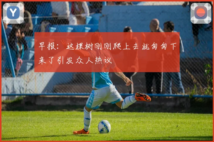 早报：这棵树刚刚爬上去就匆匆下来了引发众人热议