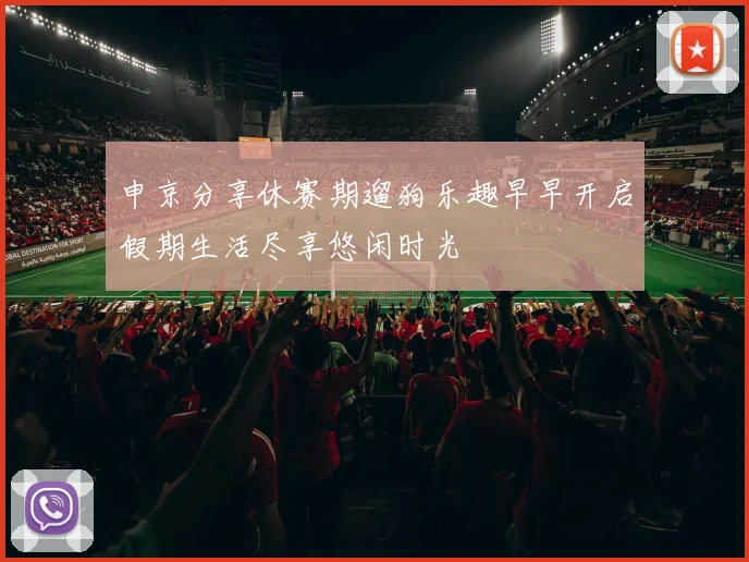 申京分享休赛期遛狗乐趣早早开启假期生活尽享悠闲时光